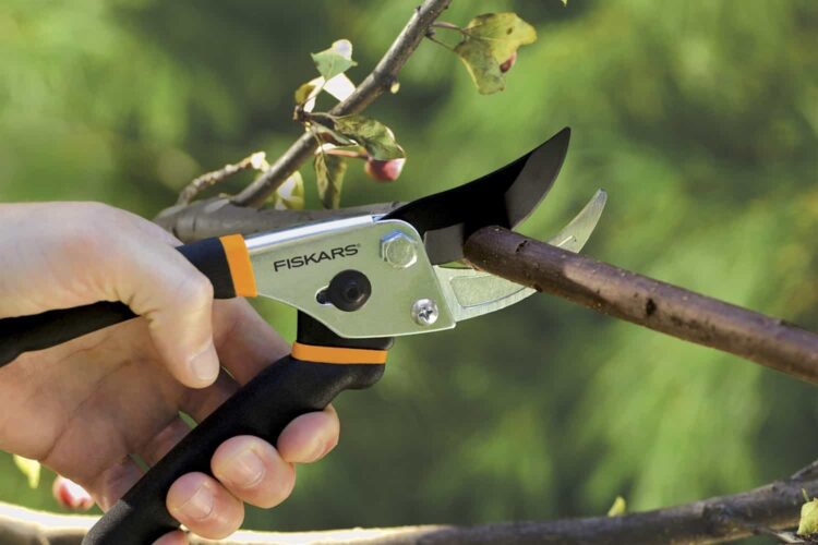 Fiskars 91095935J Pruning Shears Review