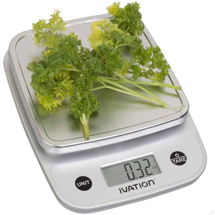 Ivation Digital Kitchen Food Scale Review