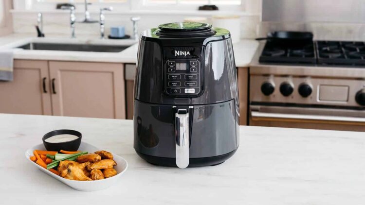 Ninja Air Fryer Review (AF101:AF100UK)